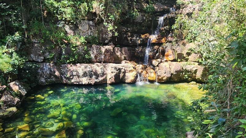 Crystal-clear emerald water interconnected by a wooden walkway suspended amidst forest in the Chapada dos Veadeiros.