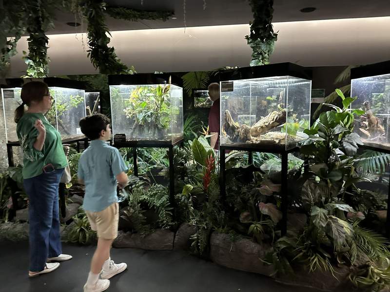 A woman and child looking at exhibits.