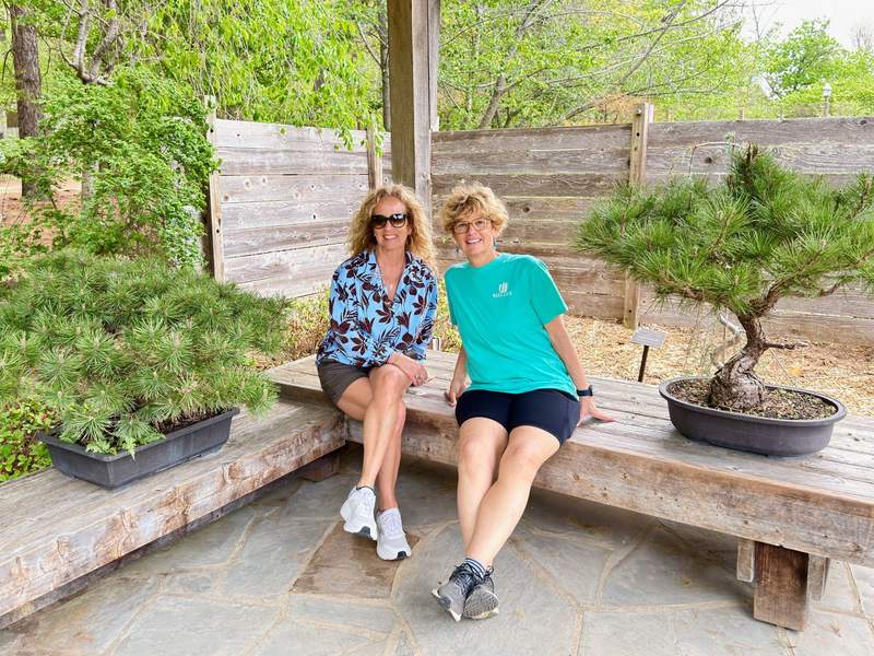 The peaceful Japanese Garden inside the Botanical Garden of the Ozarks in Fayetteville Arkansas, featuring traditional landscaping, serene water elements, and lush greenery.