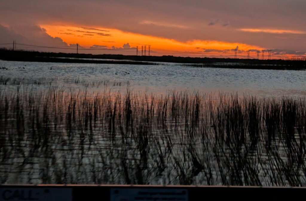 Orange sunset over the Florida Evergaldes