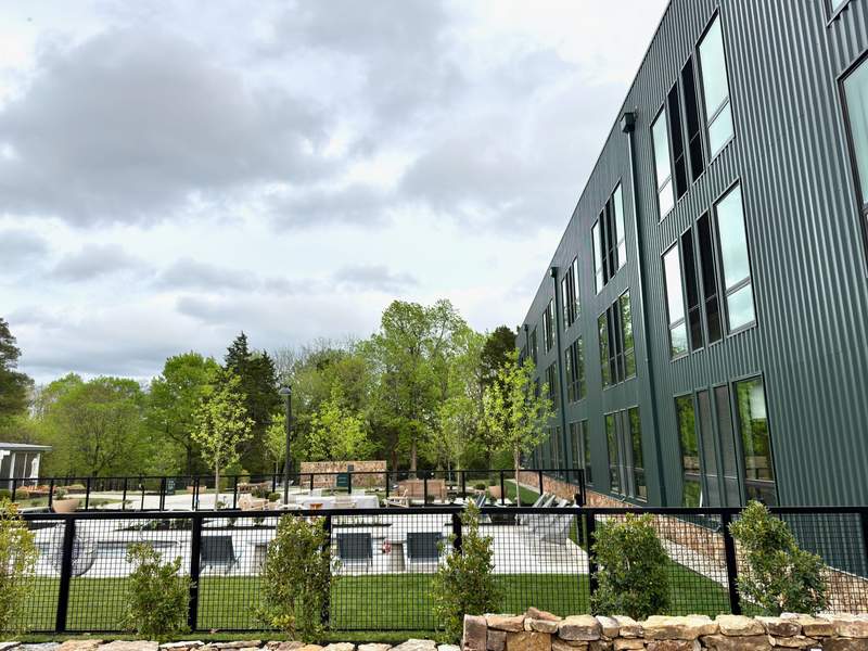 The outdoor wellness area at The Stonebreaker Hotel in Fayetteville AR, featuring a modern hot tub, a cold plunge pool, and nearby firepits surrounded by trees.
