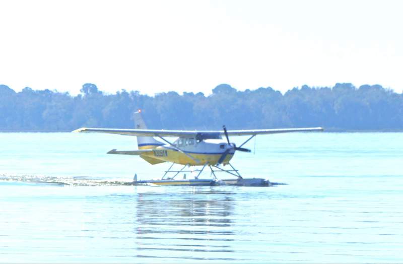 A seaplane on a lake with forest in background.