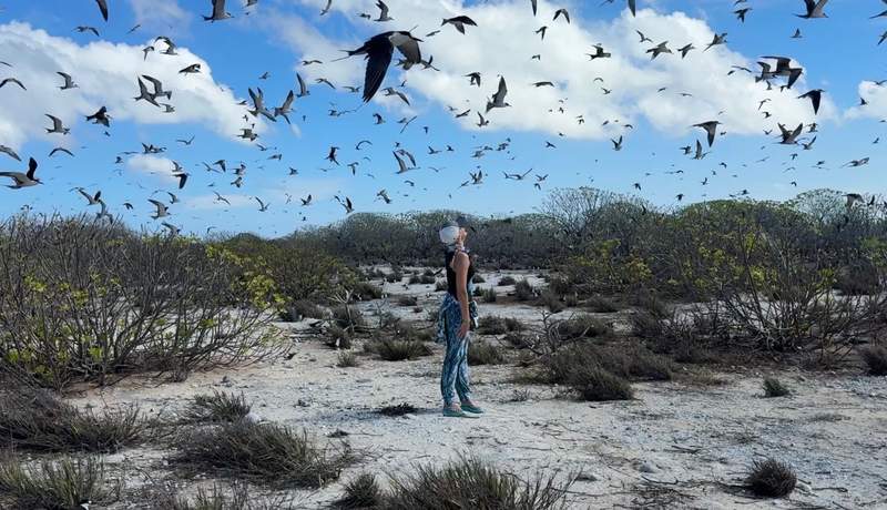 A woman standing surrounded by flying birds