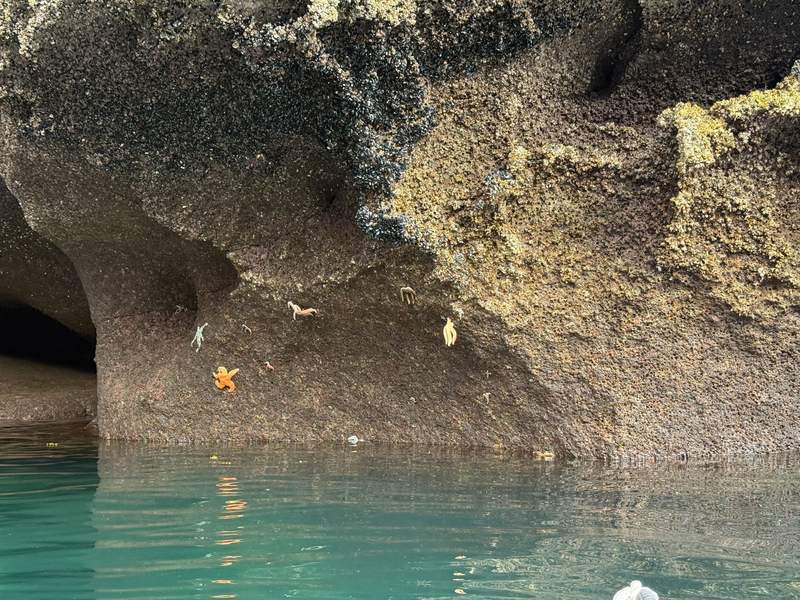 Starfish, caves and water