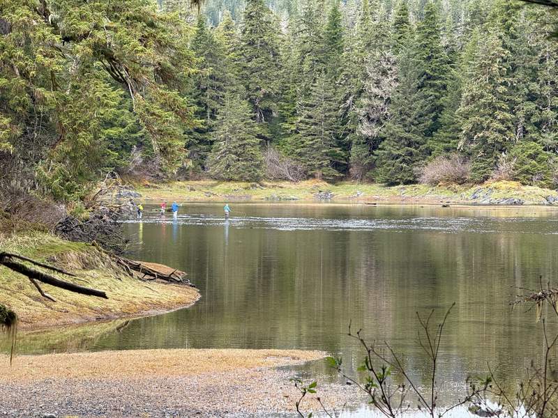 a lake and forest