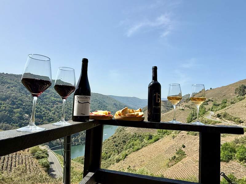 Wine classes, bottles and snacks on a railing overlooking beautiful vineyards and a river valley.