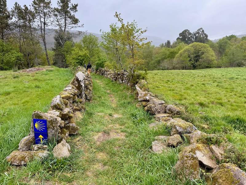 A blue and yellow shell and arrow marking a stone-lined path leading into the distance.