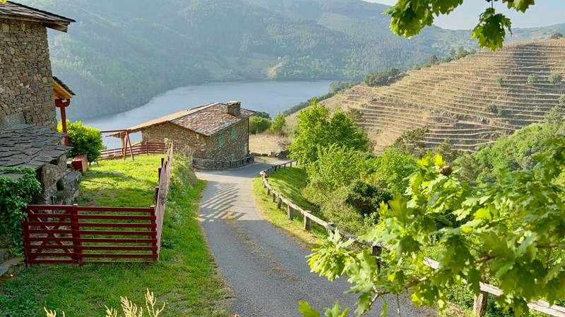 Looking down a country road past vineyards, stone buildings and out across a mountainous river valley.
