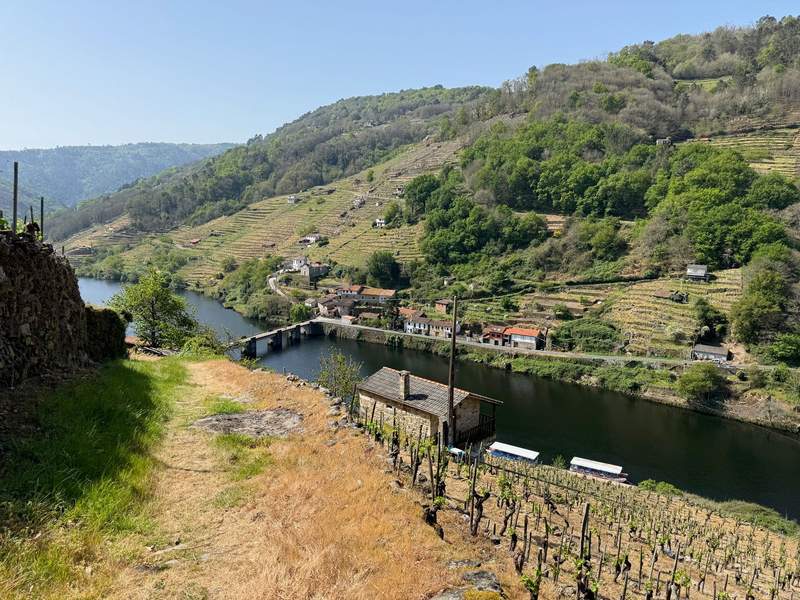 Looking down a path between vineyards down at a river bridge in a steep valley.