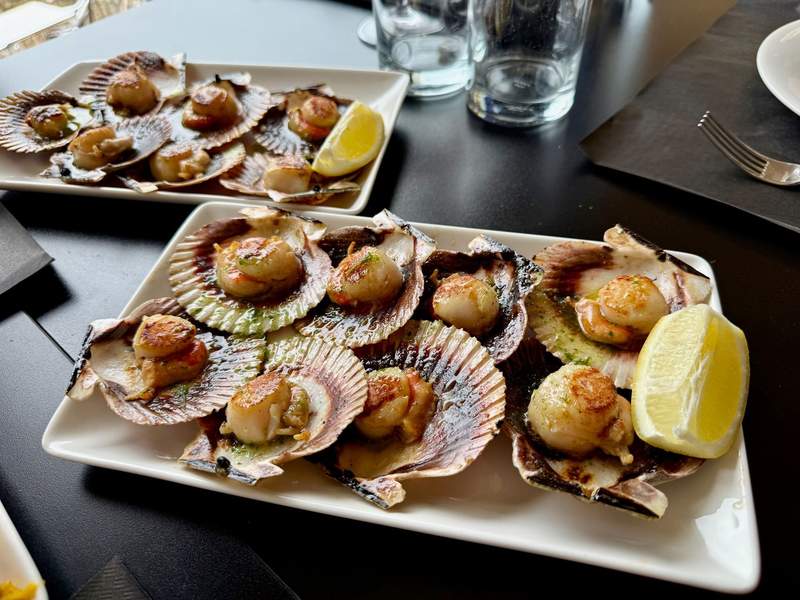 Scallops tastefully arranged on a plate.
