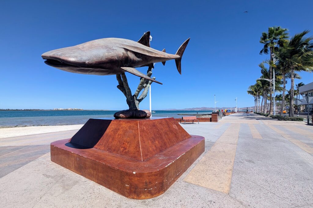A whale shark statue on the Malecon in La Paz