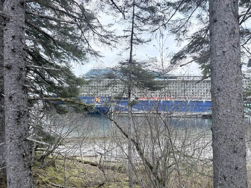 Celebrity Solstice in Alaska through the trees at Icy Strait Point in Hoona Alaska