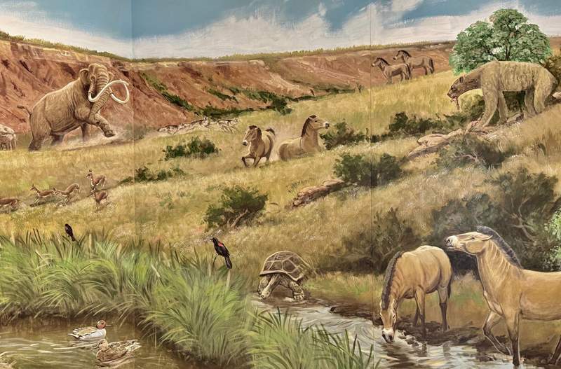 The museum mural shows animals imagined from remnants found by archeologists nearby. Elephant, tortoise in a stream next to horses drinking. Shrubs dot the grass lands.