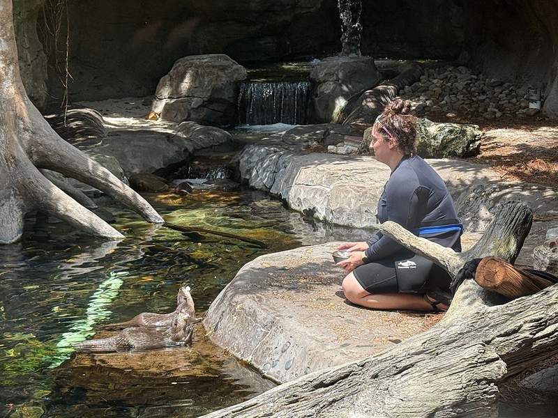 Woman crouched down on a rock feeding two otters in the water in front of her