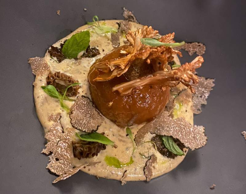 A finely plated gourmet mushroom dish served in a modern bowl at Ha restaurant in Hotel Xcaret Mexico, showcasing contemporary Mexican fine dining.