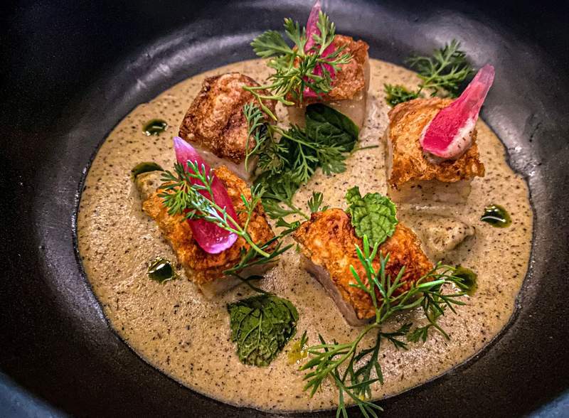 An intricate and artistic fish course featuring native Mexican ingredients, beautifully presented as part of a multi-course tasting menu at Xaak.