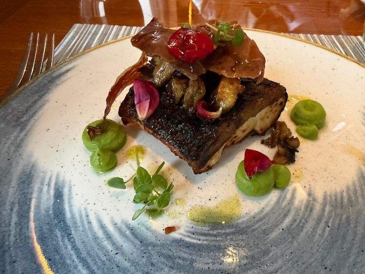 A perfectly prepared miso black cod entrée served on a patterned blue and white plate, garnished with mushrooms and fine herbs.