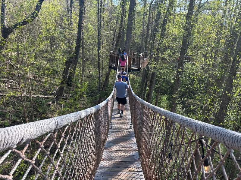 A wooden suspension bridge of the Tree Top Sky Walk stretches through a forest canopy in Gatlinburg
