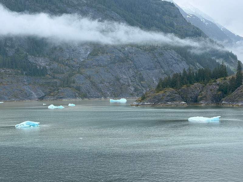 Waking up to icebergs floating past our stateroom window in Endicott Arm, Alaska.