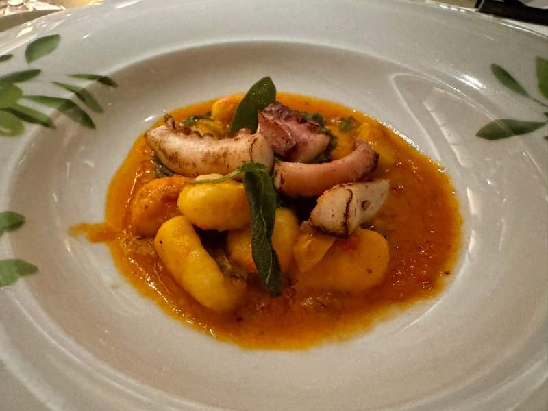 Plated seafood dish featuring octopus, scallops, and shellfish during a wine pairing experience at Sabatini's Italian Trattoria.