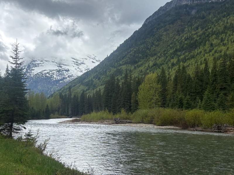 The Flathead River with Glacier National Park in the background