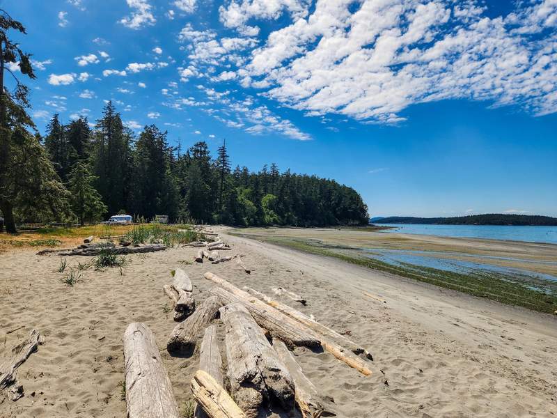 sand spit with forest and blue ocean water