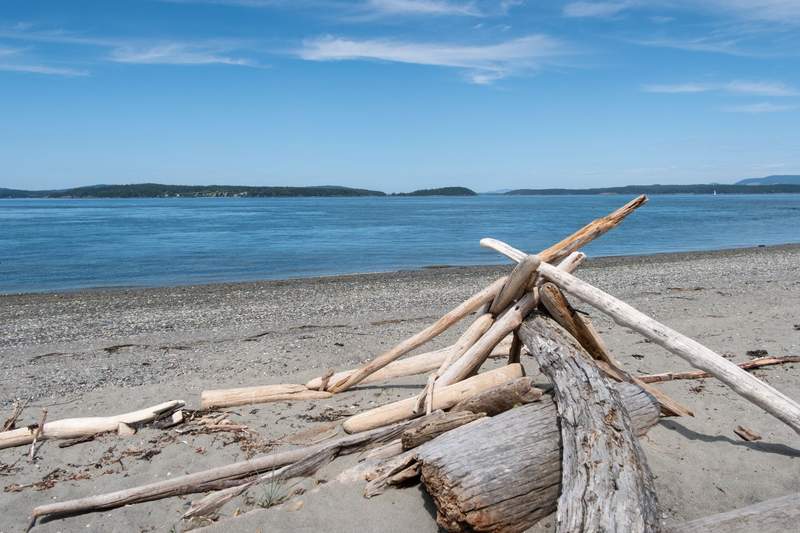 A gravel and sand beach with driftwood