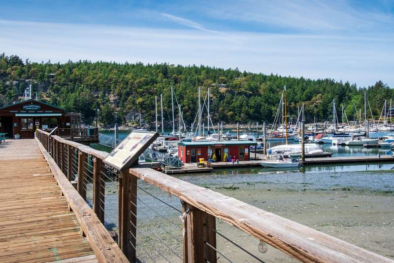 A dock and marina with sailboats