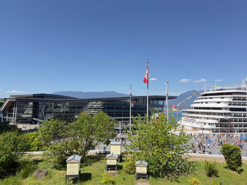 View of Fairmont Waterfront Vancouver bee hotels and a Holland America cruiseship with I Love Alaska painted on the front.