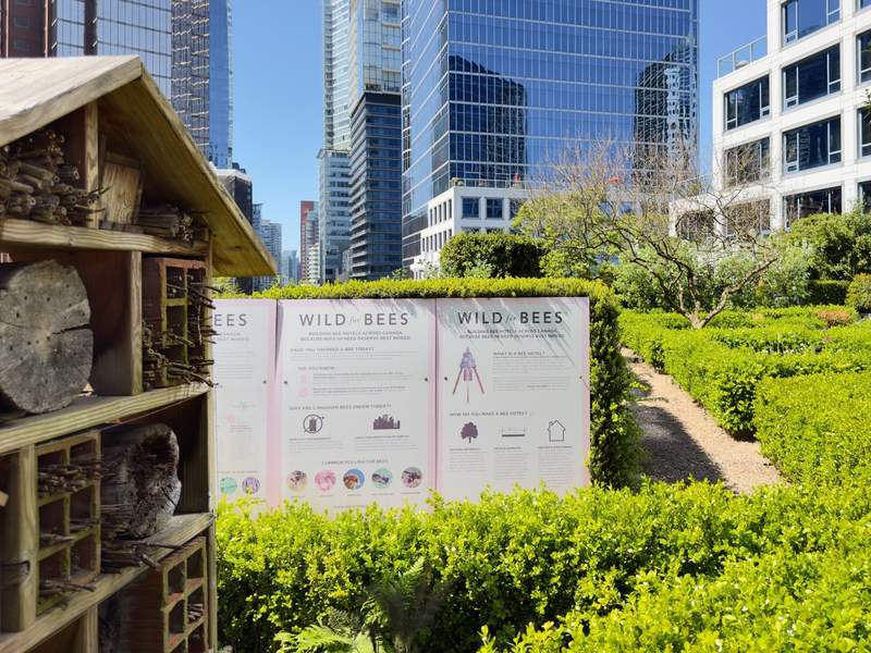Bee hotel and information at Fairmont Waterfront Vancouver.