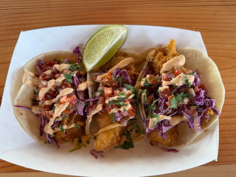 Wild Alaskan fish tacos served at Deckhand Dave’s food truck located in downtown Juneau’s popular outdoor food truck park.