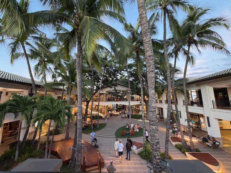 Palm tree-lined walkway and people shopping at The Shops at Wailea near Wailea Beach Villas