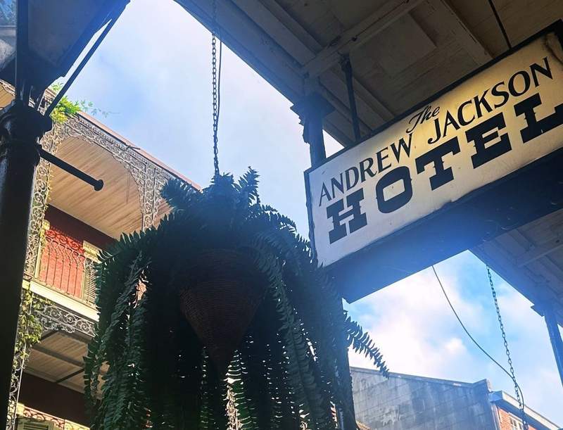 Looking up at the Andrew Jackson Hotel sign in the French Quarter in New Orleans with iron lace balconies and a hanging fern plant against a blue sky