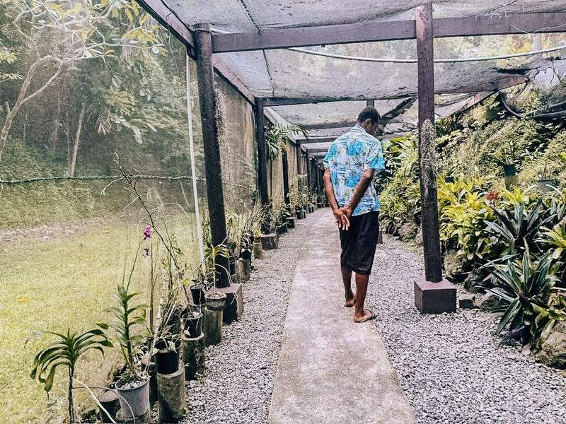 Man in traditional Fijian dress in a garden