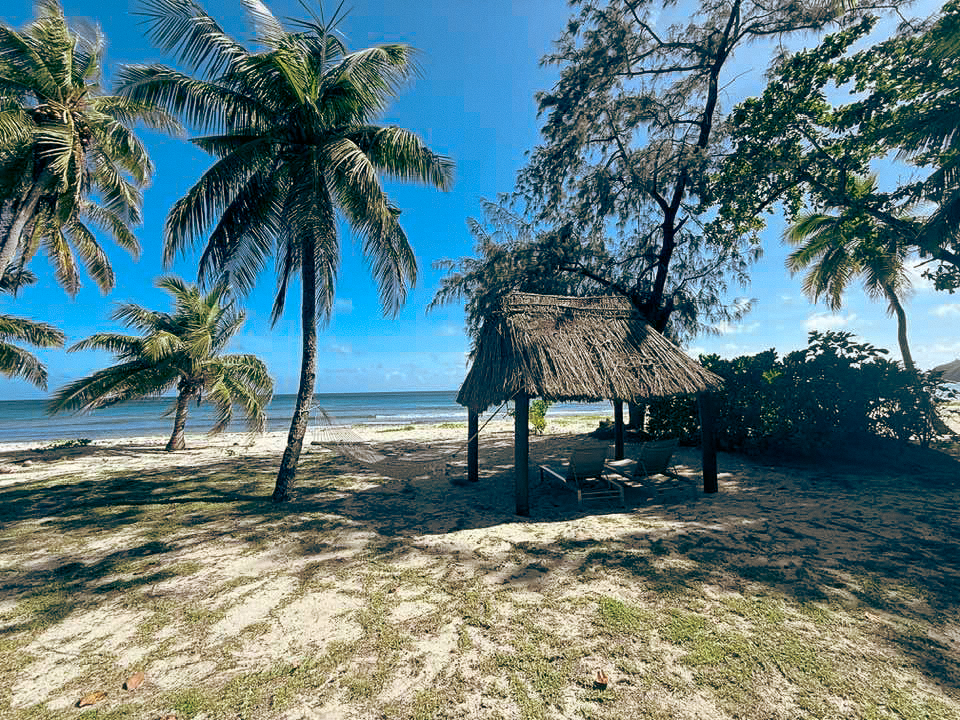 Thatched roof cabanas along private beach with palm trees