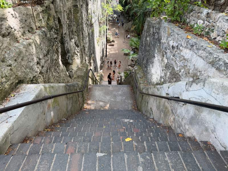 Looking down the historic Queens Staircase in Nassau Bahamas featuring brick steps flanked by carved limestone cliffs and tropical foliage.