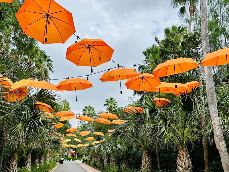 Orange umbrellas mark the entrance to Quinta Mazatlán in McAllen