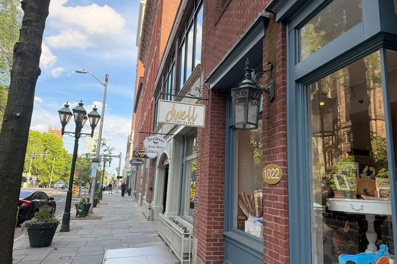 8 Budget Friendly Things to Do in New Haven, Connecticut