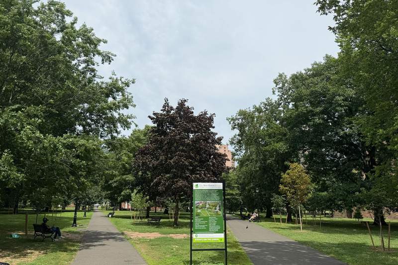  Picture of New Haven Green in daylight