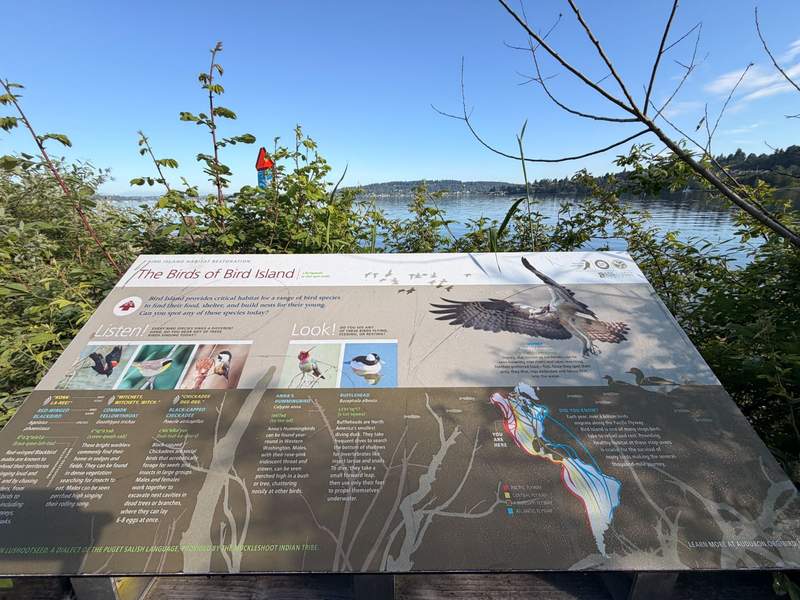 Interpretive sign describing the types of birds on Bird Island with Lake Washington in the background