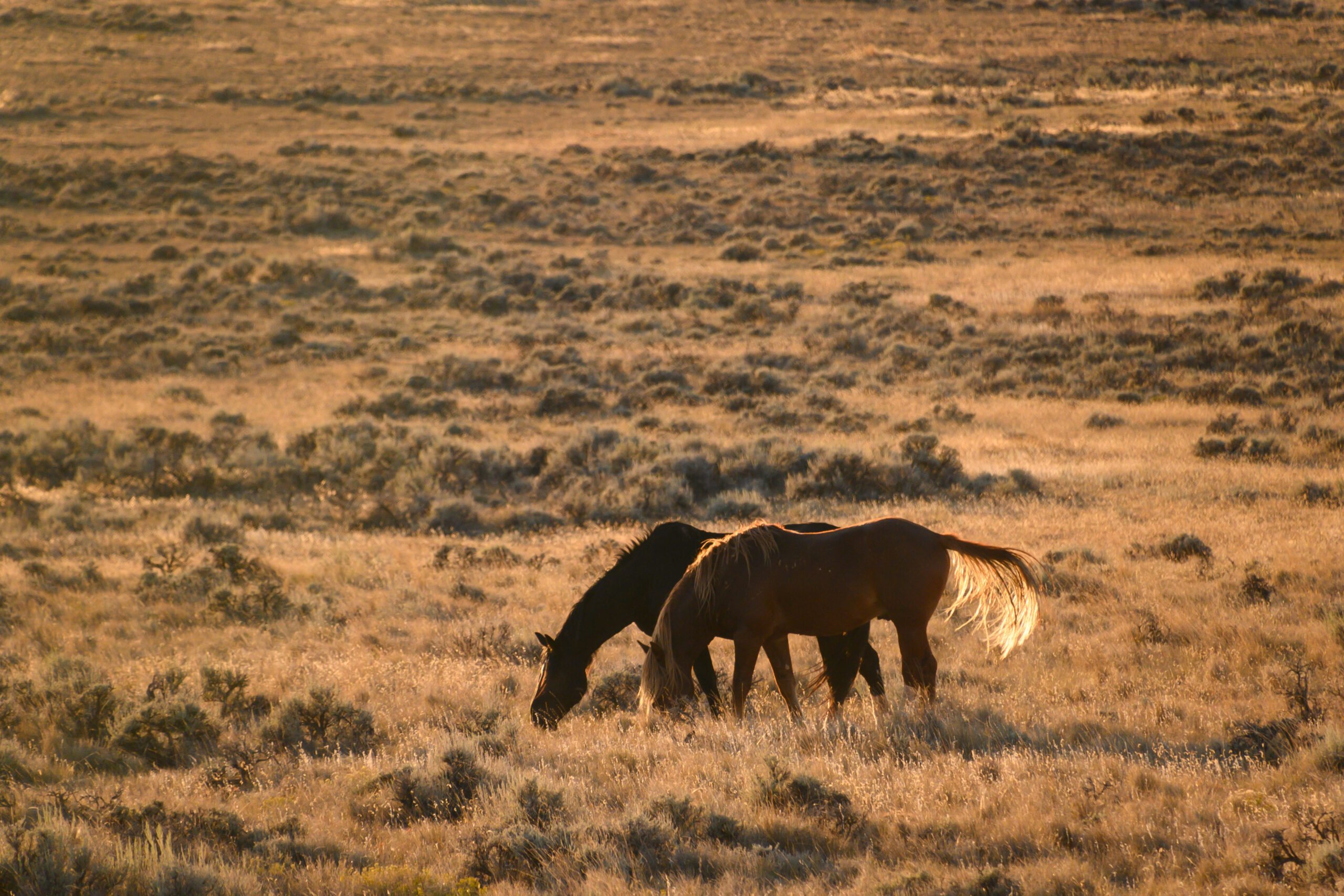 The Ultimate Fall Bucket List for Cody, Wyoming (Ghosts Included)