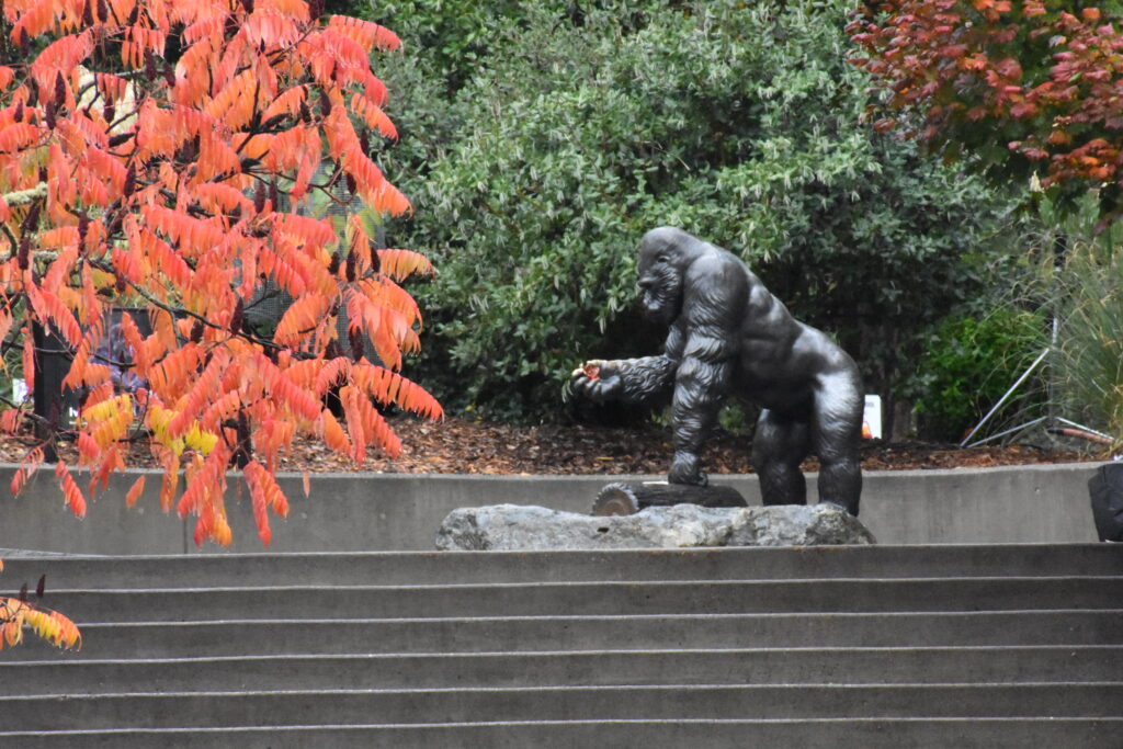 Statue of a gorilla at the top of stairs surrounded by fall foliage