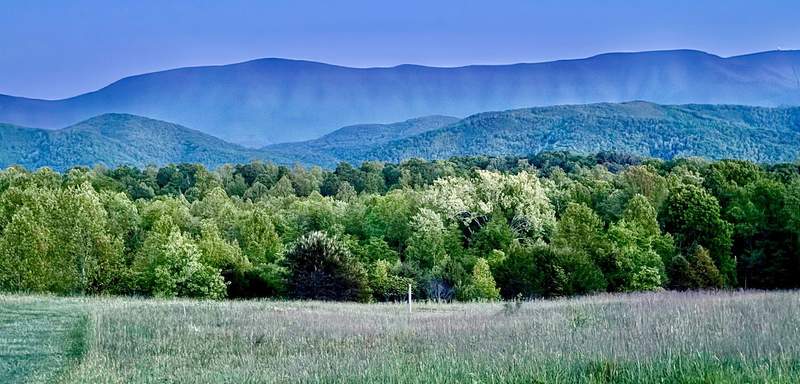 Horizontal layers of blue sky and mountains above green tree tops and a grassy plain suggest night fall is imminent.