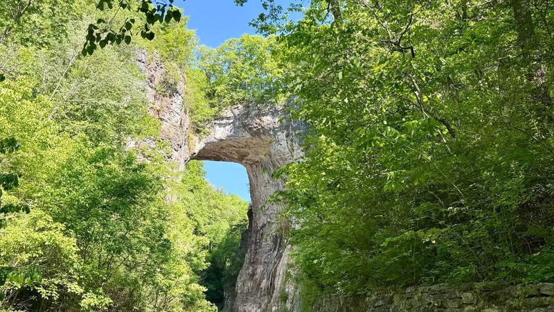 Vines and shrubs in many shades of green jut out from a limestone rock arch which has an opening showing blue sky through it. The top of the arch appears solid