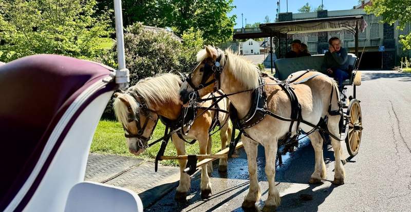 Two golden chestnut color horses stand in front of a carriage with fringe on top on a city street.