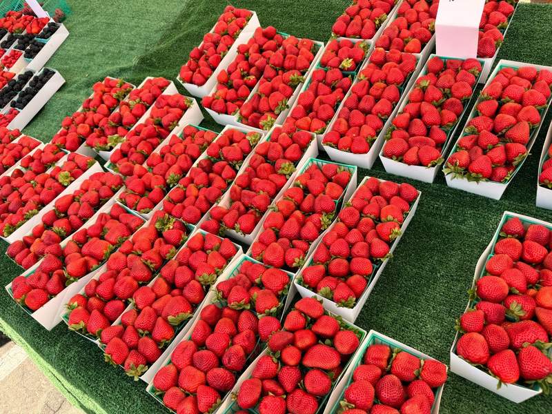 Strawberries at the Channel Island Harbor Farmer's Market