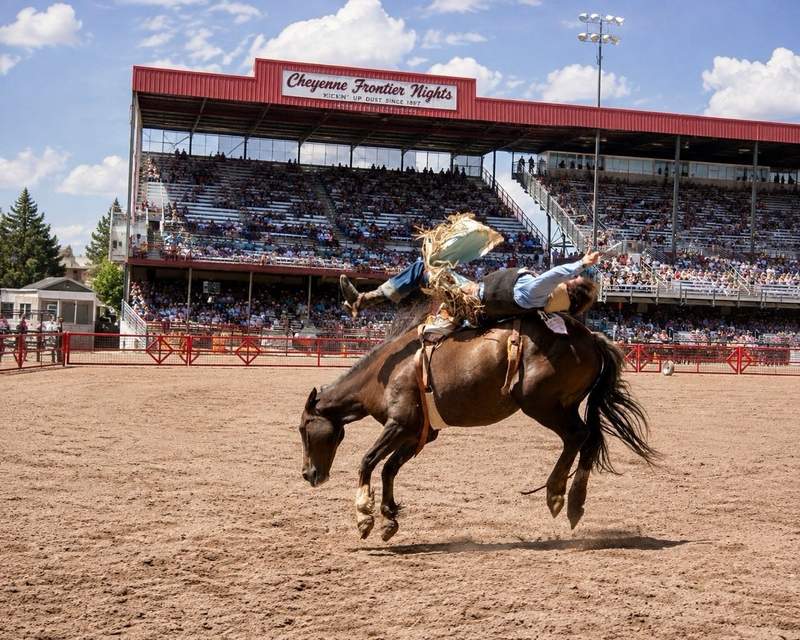 Saddle bronc rider and bucking horse airborne after leaving the chute at Cheyenne Frontier Days.