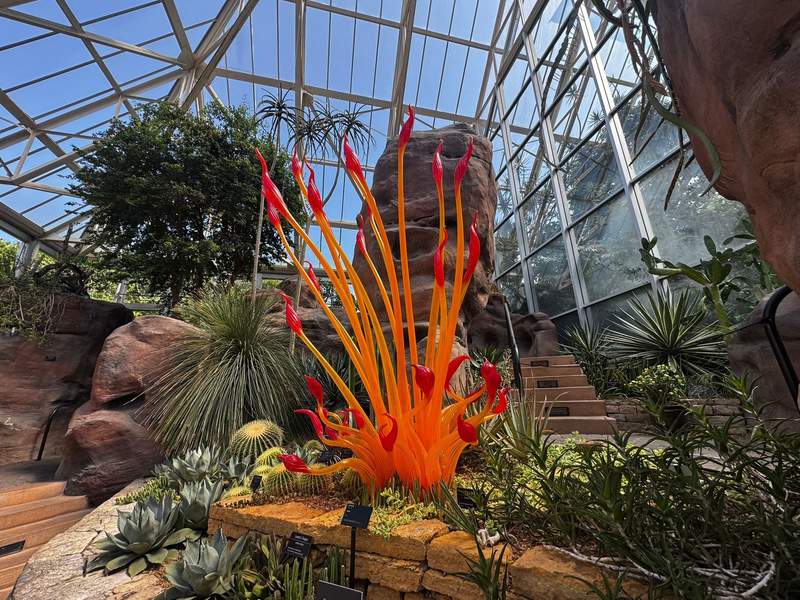 Chihuly’s fiery orange and red glass sculpture at Franklin Park Conservatory and Botanical Gardens.