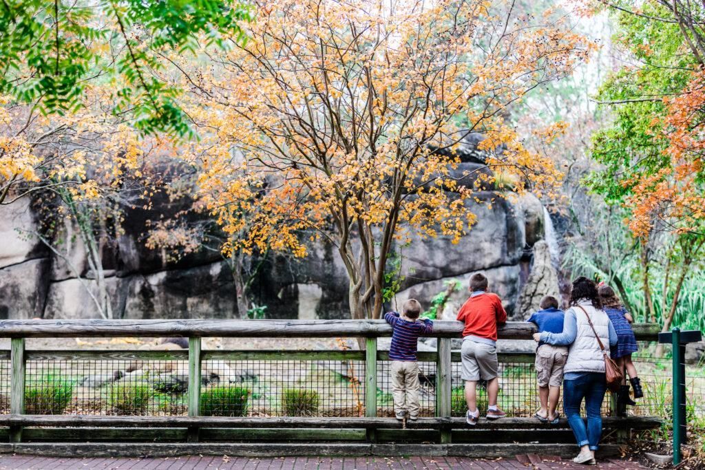 A family looking at an animal habitat at Nashville Zoo.