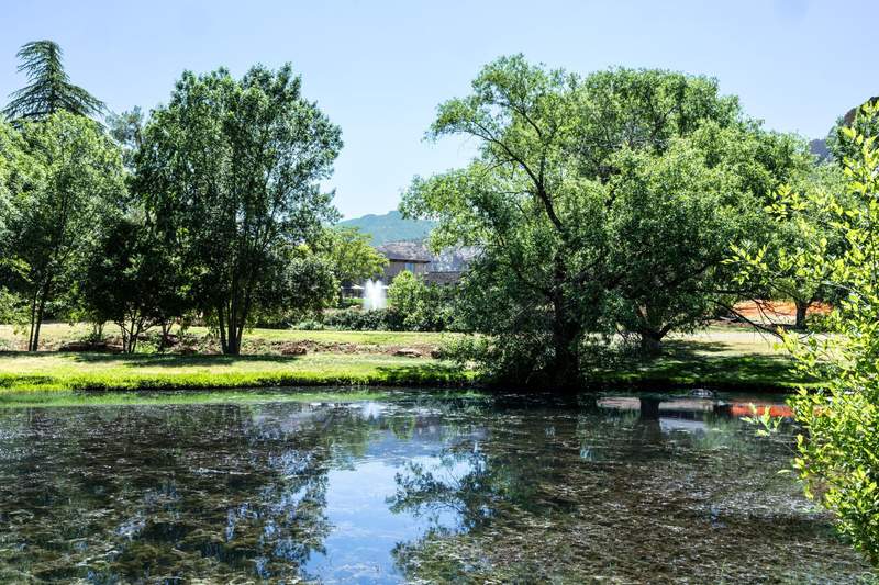 Tree-lined pond on the grounds of Outbound Sedona reflecting the surrounding greenery with resort buildings and red-rock terrain beyond.